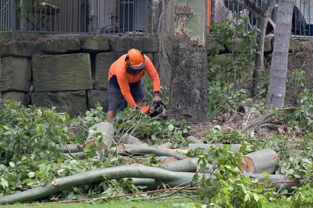 Elkhart Lake, WI Tree Services Company